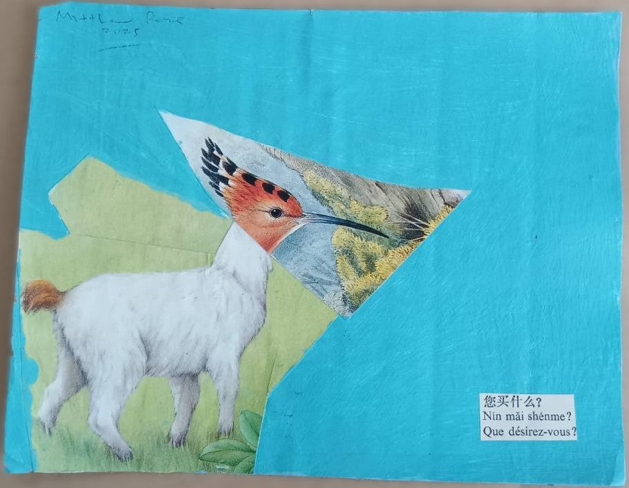 Mail Art (Matthew Rose)