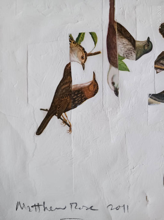 マシュー・ローズ|When(2011年 オリジナル・コラージュ作品)24×30cm・直筆サイン入・紙貼付