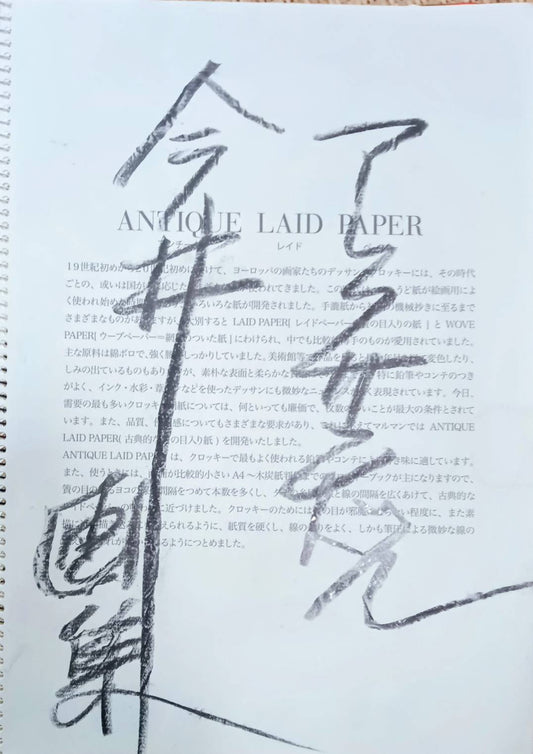 今井アレクサンドル｜アレクサンドル今井 画集（2016〜2017年 紙・アクリル 50ページ）